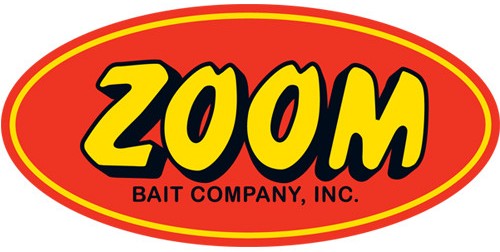 Zoom Logo